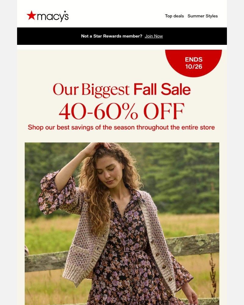Screenshot of email with subject /media/emails/up-to-60-off-chic-colors-for-your-fall-mood-board-312e1e-cropped-d9e59e02.jpg