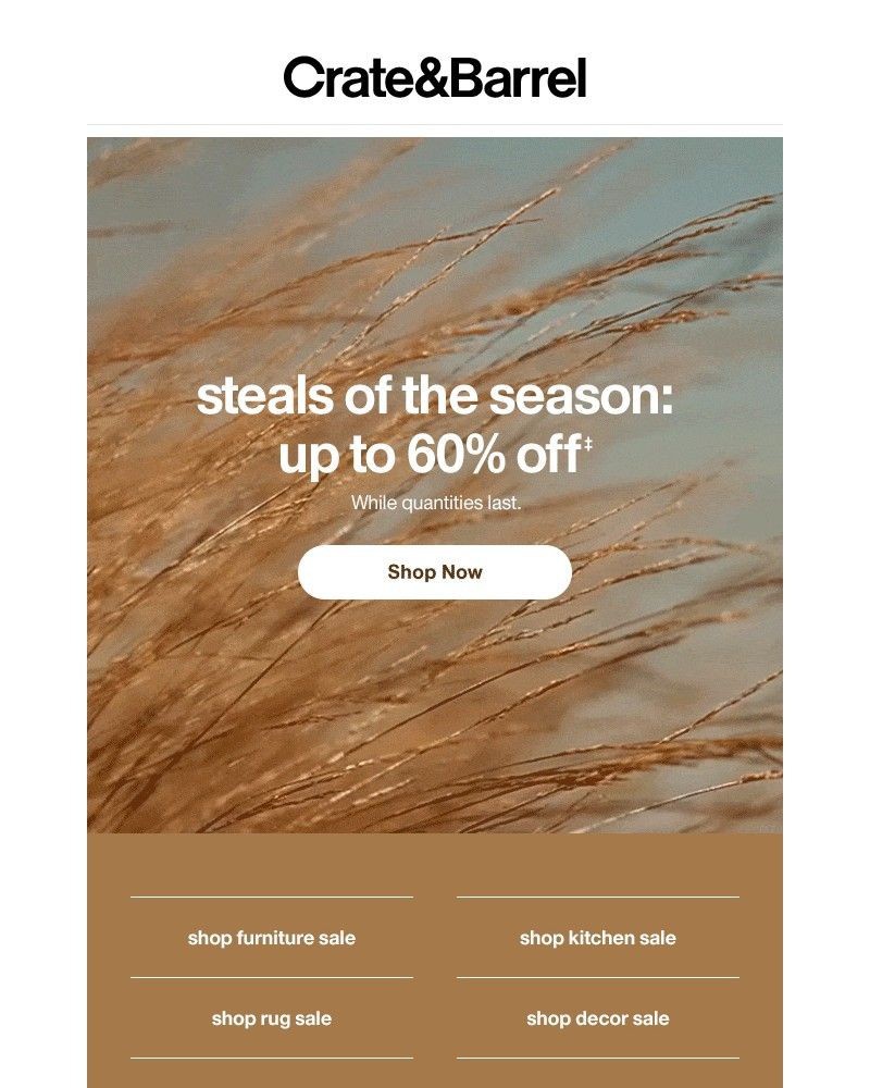 Screenshot of email with subject /media/emails/up-to-60-off-decor-textiles-kitchen-more-21feb6-cropped-d0b41969.jpg