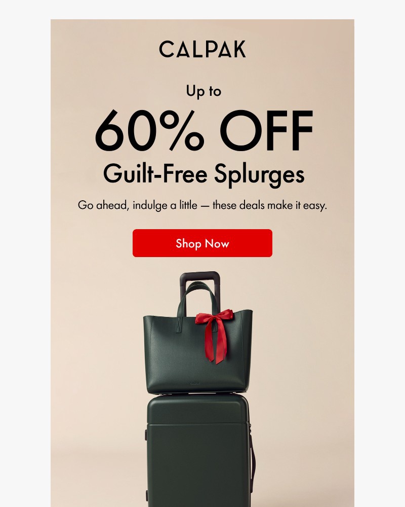 Screenshot of email with subject /media/emails/up-to-60-off-everything-4f2e94-cropped-24f04721.jpg