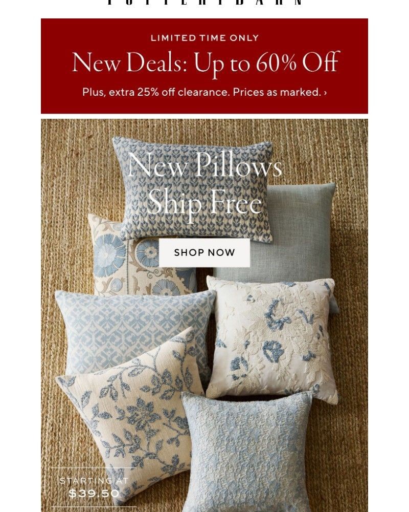 Screenshot of email with subject /media/emails/up-to-60-off-extra-savings-on-clearance-free-shipping-on-new-pillows-87cb7f-cropp_jDlux0H.jpg