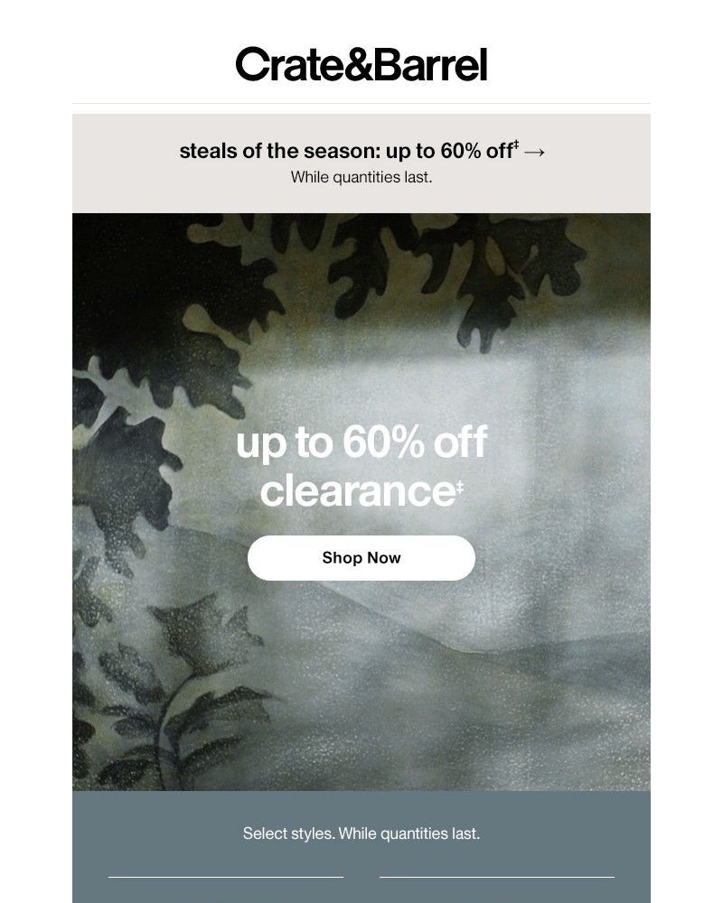 Screenshot of email with subject /media/emails/up-to-60-off-furniture-decor-more-dont-miss-out-b9d9b9-cropped-bc8b2451.jpg
