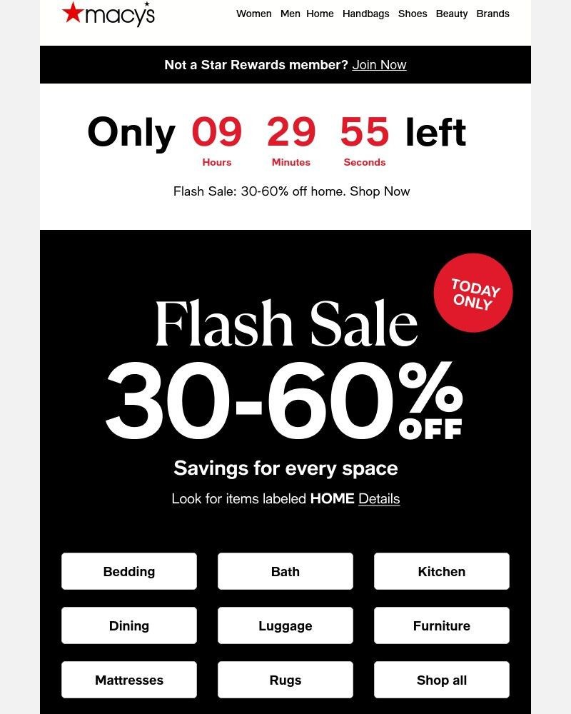 Screenshot of email with subject /media/emails/up-to-60-off-hours-left-for-our-home-flash-sale-544859-cropped-62fab19c.jpg