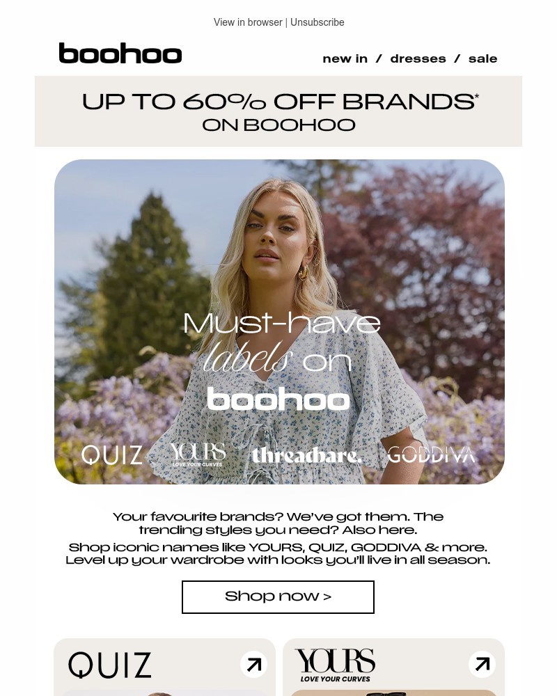 Screenshot of email with subject /media/emails/up-to-60-off-iconic-brands-003b05-cropped-35aefdf6.jpg