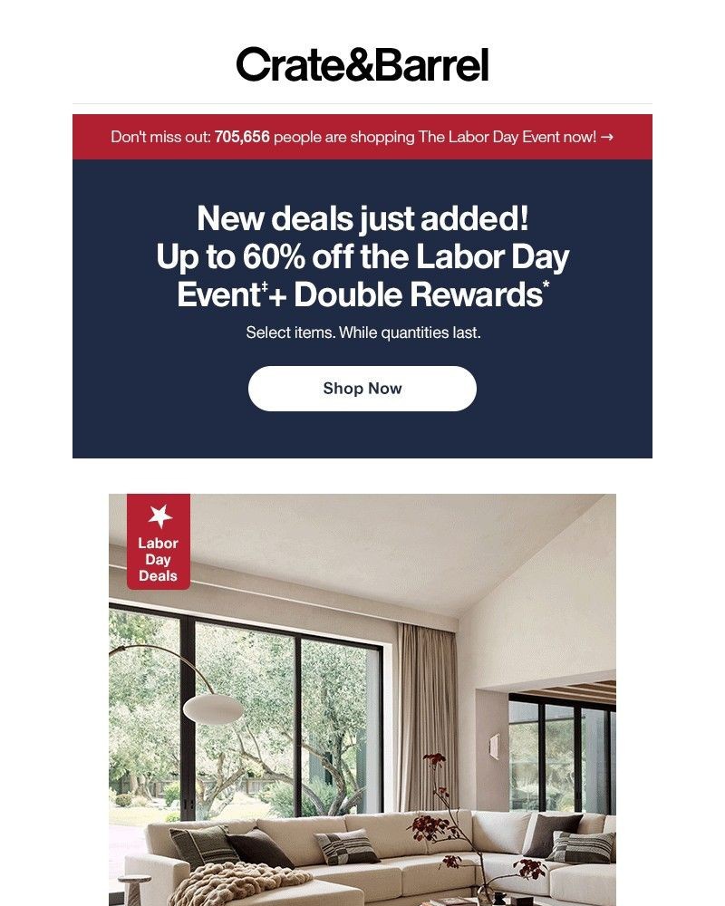 Screenshot of email with subject /media/emails/up-to-60-off-new-deals-double-rewards-its-shopping-time-9eec58-cropped-1edbd13b.jpg