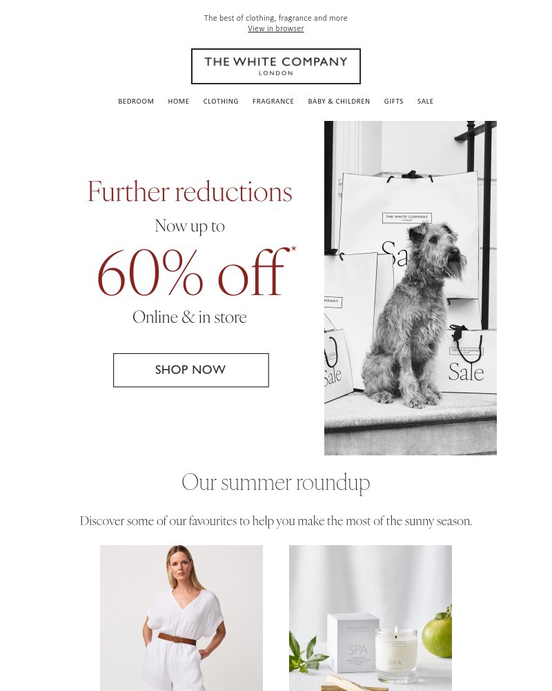 Screenshot of email with subject /media/emails/up-to-60-off-our-summer-favourites-733a5a-cropped-7e748190.jpg