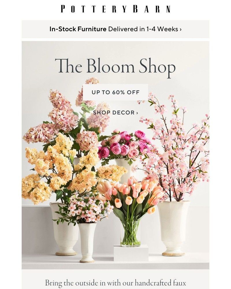 Screenshot of email with subject /media/emails/up-to-60-off-summer-blooms-botanicals-8e82cc-cropped-50aabbeb.jpg