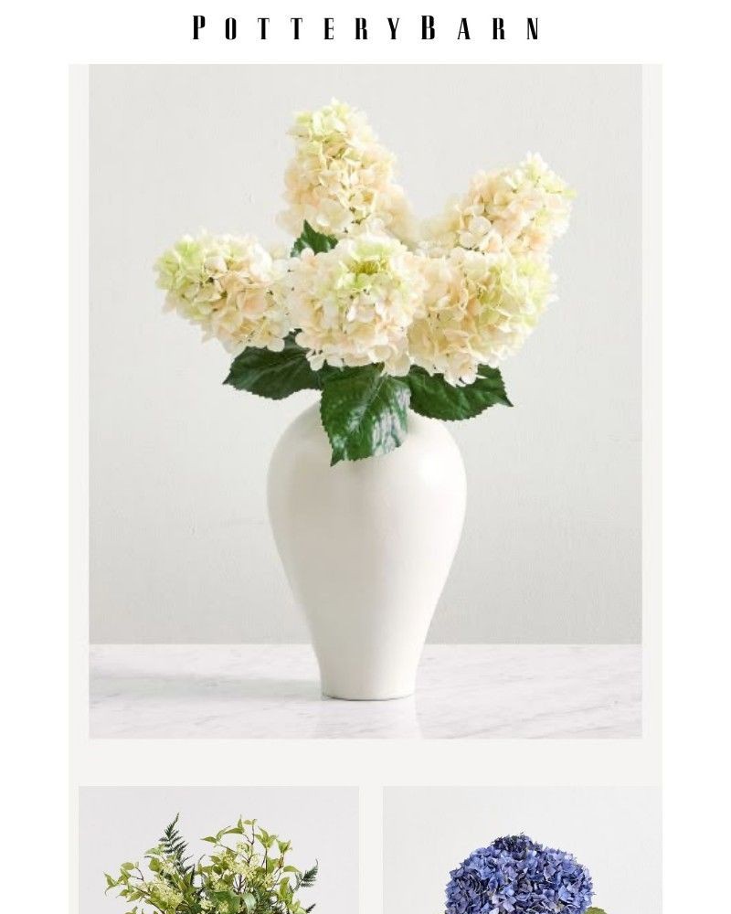 Screenshot of email with subject /media/emails/up-to-60-off-summer-blooms-botanicals-a19182-cropped-be537850.jpg