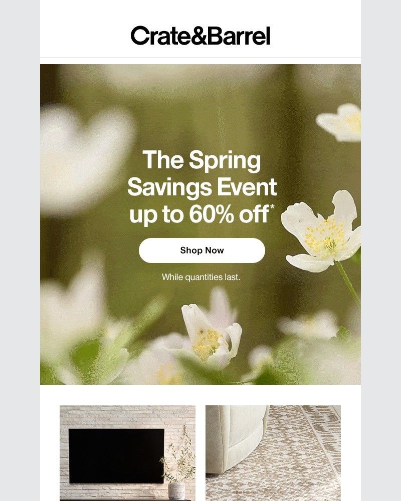 Screenshot of email with subject /media/emails/up-to-60-off-the-spring-savings-event-92f3fa-cropped-c1aa0536.jpg