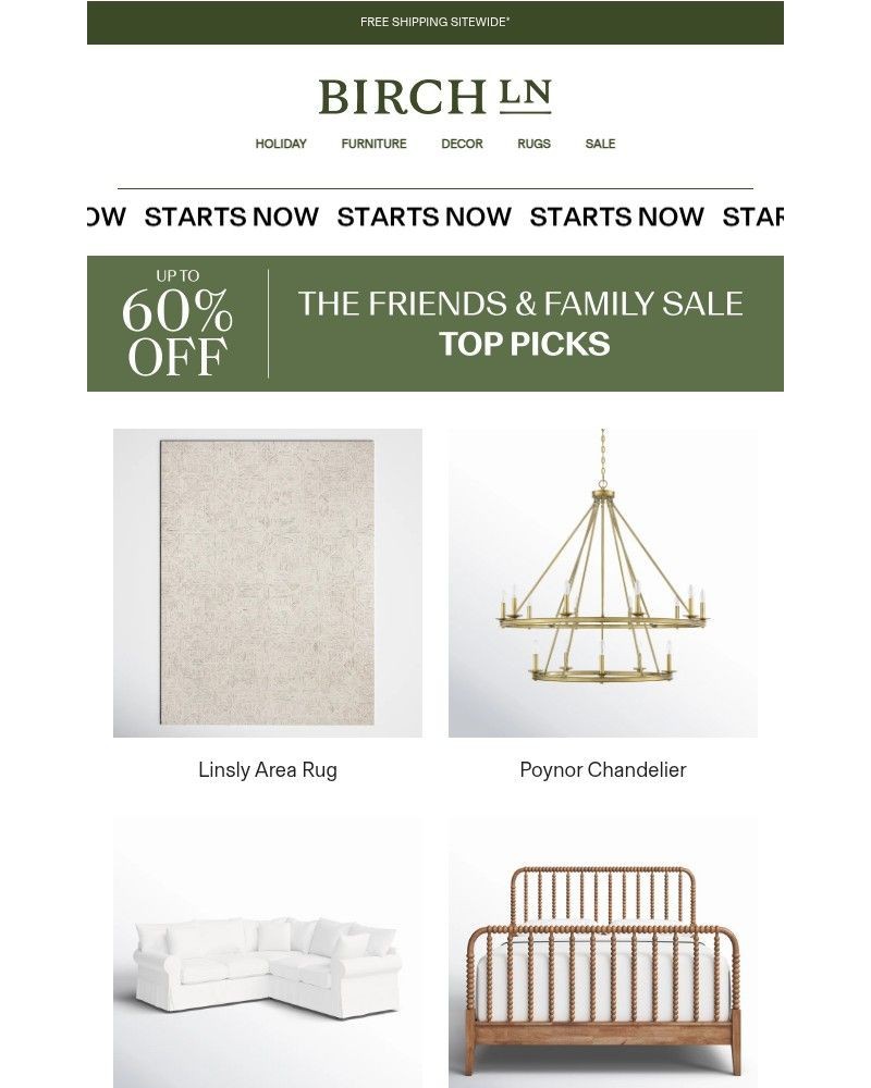 Screenshot of email with subject /media/emails/up-to-60-off-the-well-made-linsly-area-rug-starting-now-0d8126-cropped-af00ebc3.jpg