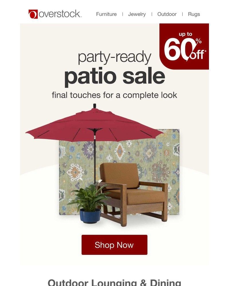 Screenshot of email sent to a Overstock Newsletter subscriber