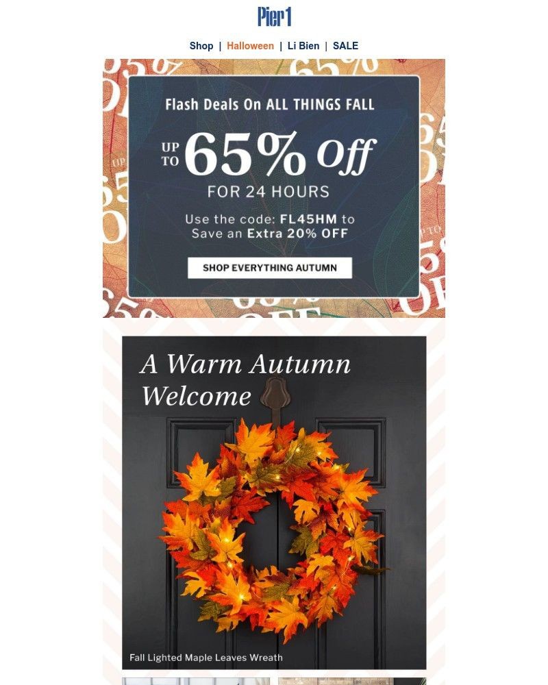 Screenshot of email with subject /media/emails/up-to-65-off-everything-fall-55cb98-cropped-cc1ad57d.jpg