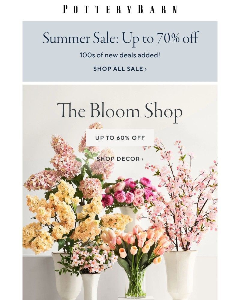 Screenshot of email with subject /media/emails/up-to-70-off-new-sale-styles-on-sale-summer-blooms-branches-763c36-cropped-7f6fff45.jpg
