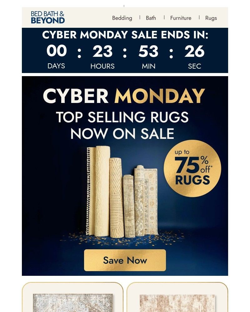 Screenshot of email with subject /media/emails/up-to-75-off-rugs-in-every-style-979097-cropped-1efbb2b9.jpg