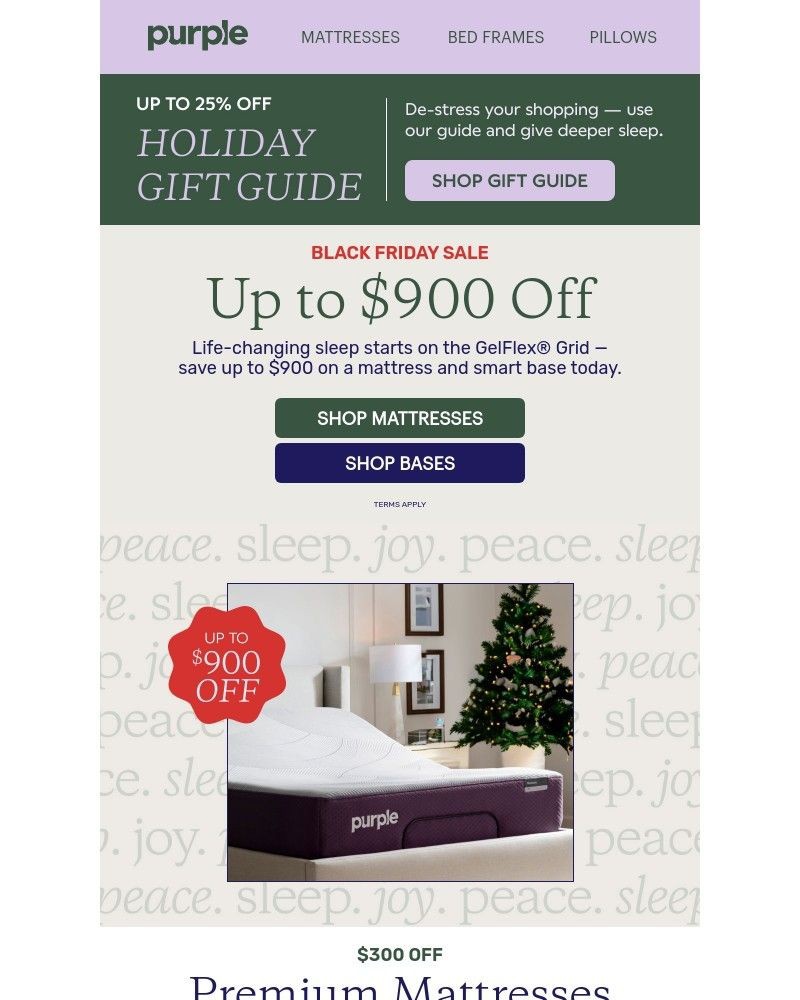 Screenshot of email with subject /media/emails/up-to-900-off-for-black-friday-f83996-cropped-582273af.jpg