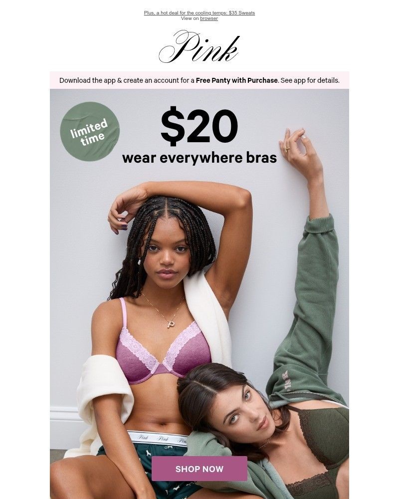 Screenshot of email with subject /media/emails/urgent-our-1-bra-is-only-20-rn-0f4409-cropped-f9e8b68c.jpg