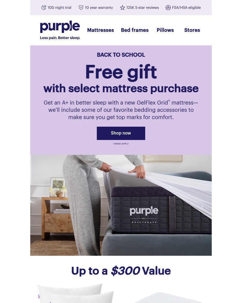 Screenshot of email with subject /media/emails/user-a-free-gift-just-for-you-9dd569-cropped-f325804d.jpg