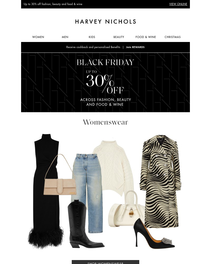 Screenshot of email with subject /media/emails/user-last-chance-to-shop-black-friday-c77dfb-cropped-b012e5c3.jpg