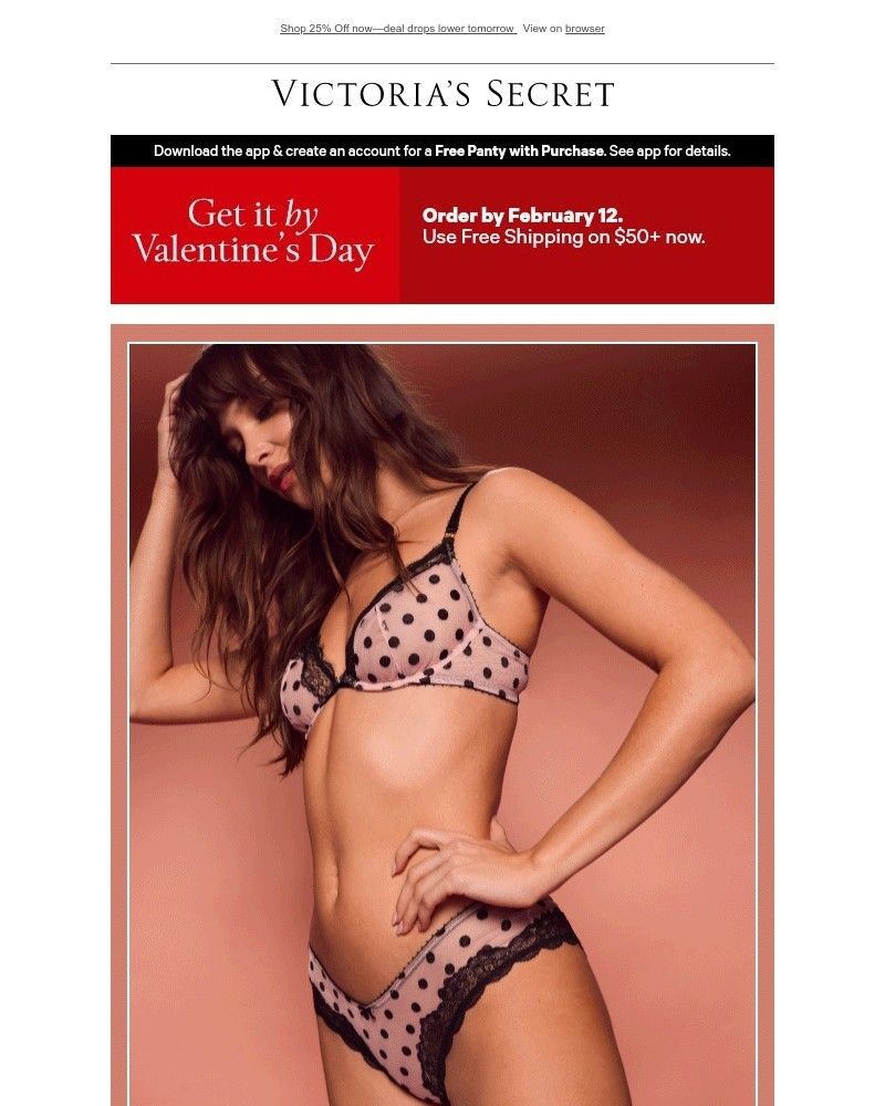 Screenshot of email with subject /media/emails/v-day-bra-panty-sets-for-you-91ac8d-cropped-29889ce3.jpg