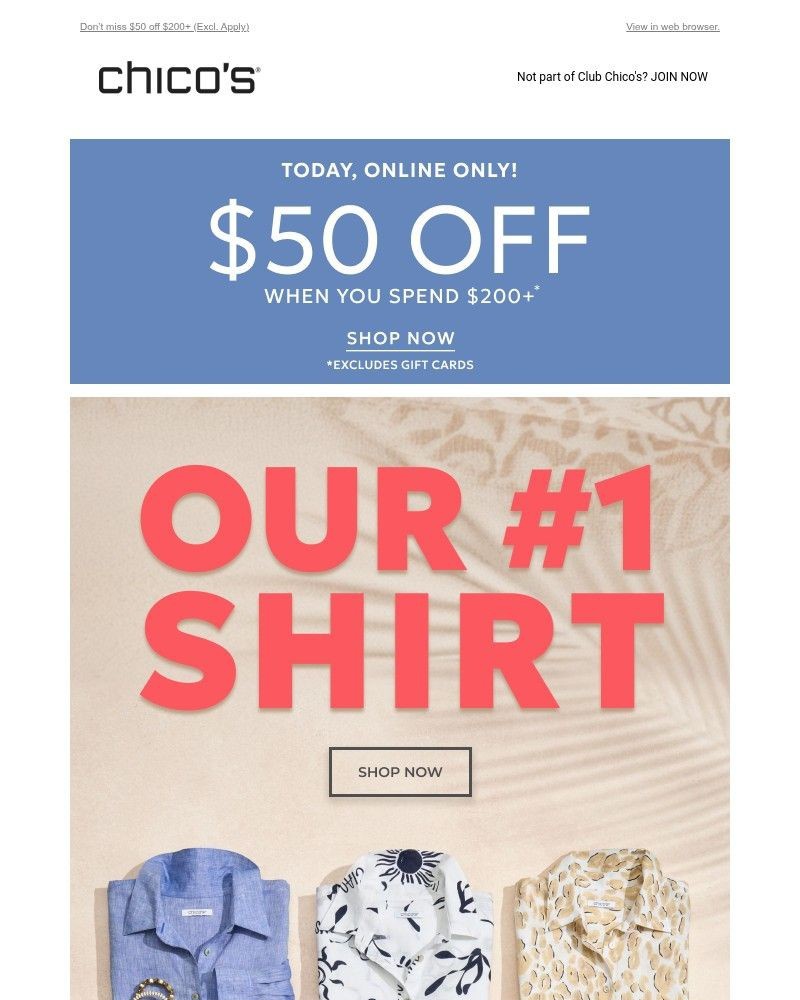 Screenshot of email with subject /media/emails/vacation-awaits-new-no-iron-linen-7fac4d-cropped-fef9b7a8.jpg