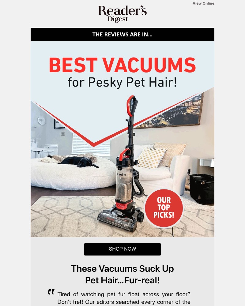 Screenshot of email with subject /media/emails/vacuums-that-suck-up-pet-hairfur-real-e8a39e-cropped-f2d02510.jpg