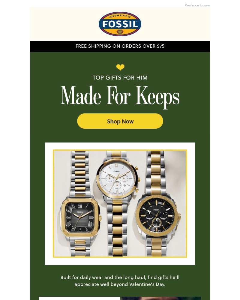 Screenshot of email sent to a Fossil Newsletter subscriber