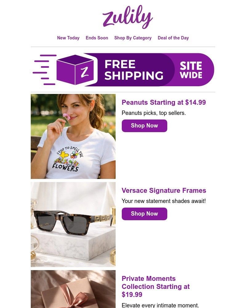Screenshot of email with subject /media/emails/versace-shades-starting-at-a-price-you-will-love-9ef6d1-cropped-20dc0d83.jpg