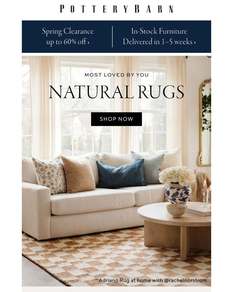 Screenshot of email with subject /media/emails/versatile-jute-sisal-rugs-e9286b-cropped-e50cb34d.jpg
