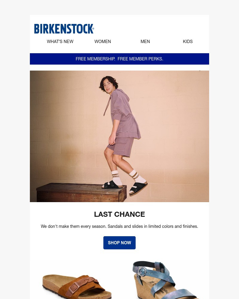 Screenshot of email with subject /media/emails/very-last-chance-for-these-pairs-807008-cropped-4e56b3a3.jpg