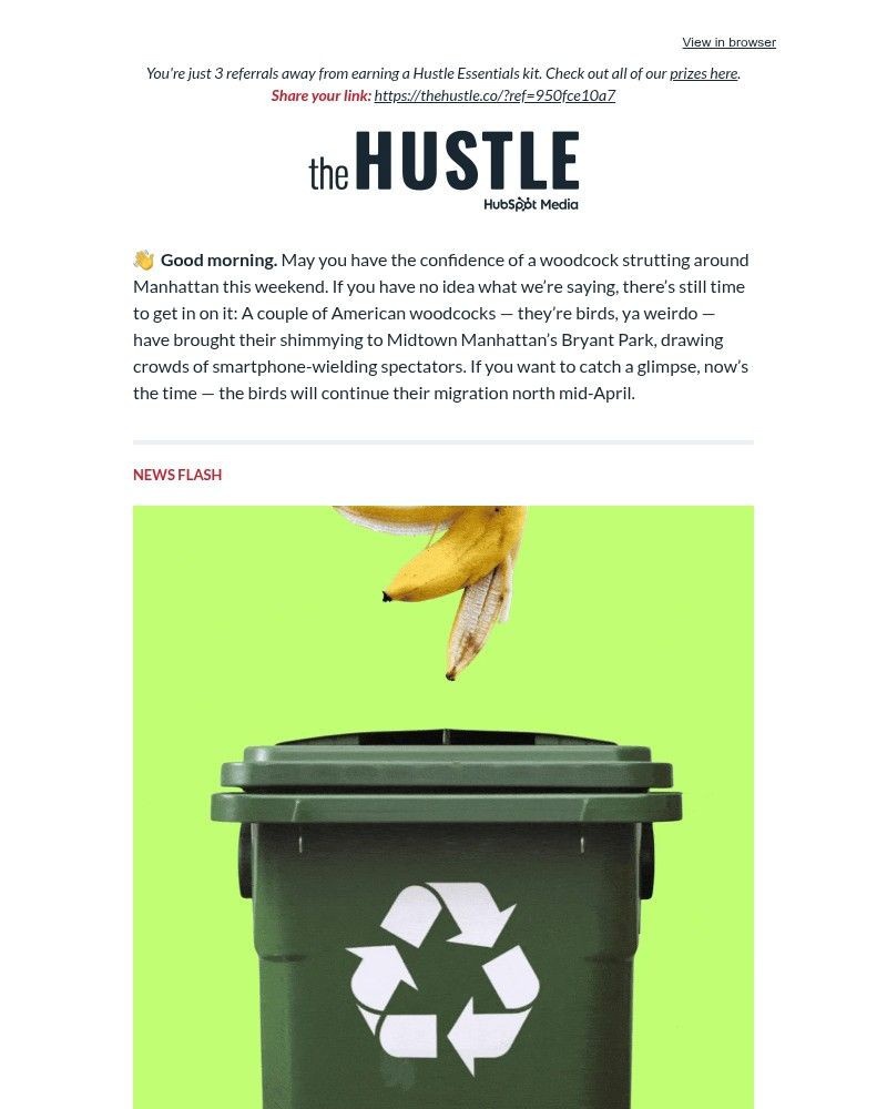 Screenshot of email sent to a The Hustle Newsletter subscriber