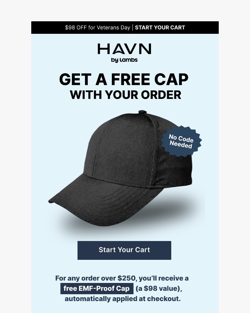 Screenshot of email sent to a Havn Newsletter subscriber