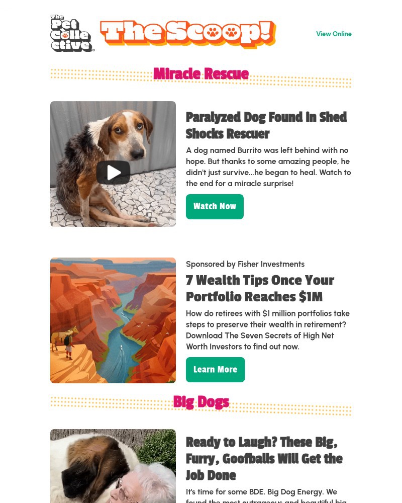 Screenshot of email with subject /media/emails/video-a-dog-named-burrito-defies-death-ac95f8-cropped-886cd88c.jpg