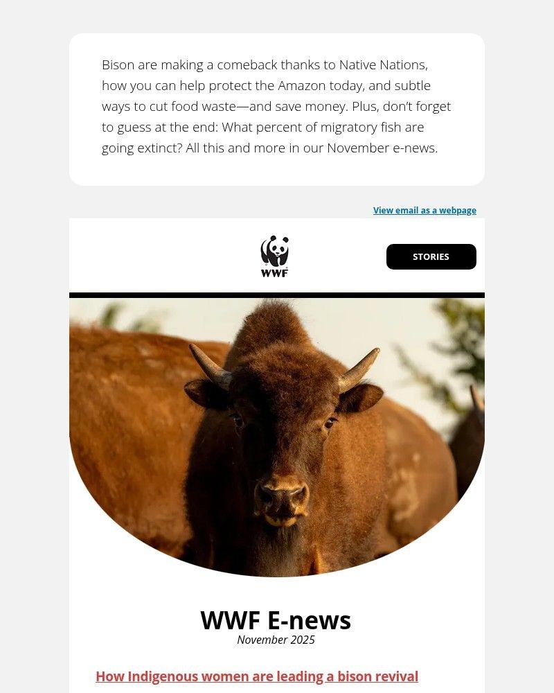 Screenshot of email with subject /media/emails/video-bison-are-coming-back-e7768d-cropped-6916bc72.jpg