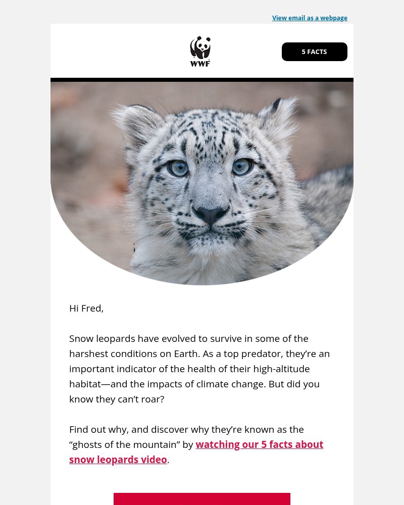 Screenshot of email with subject /media/emails/video-who-are-the-ghosts-of-the-mountain-c6cb53-cropped-ca6d5a4d.jpg