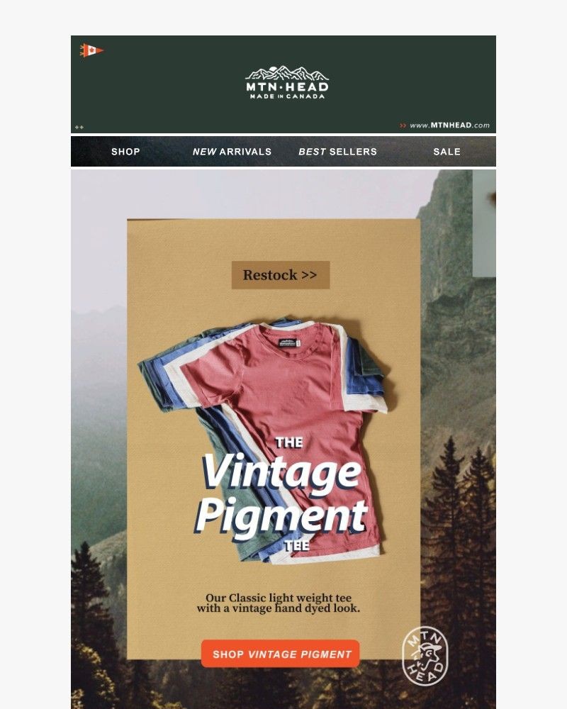 Screenshot of email with subject /media/emails/vintage-pigment-tees-heavy-weight-c74393-cropped-586dd512.jpg