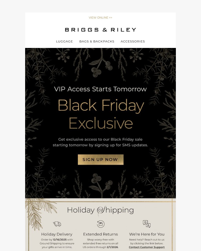 Screenshot of email with subject /media/emails/vip-access-starts-tomorrow-28e1e3-cropped-3879dce6.jpg