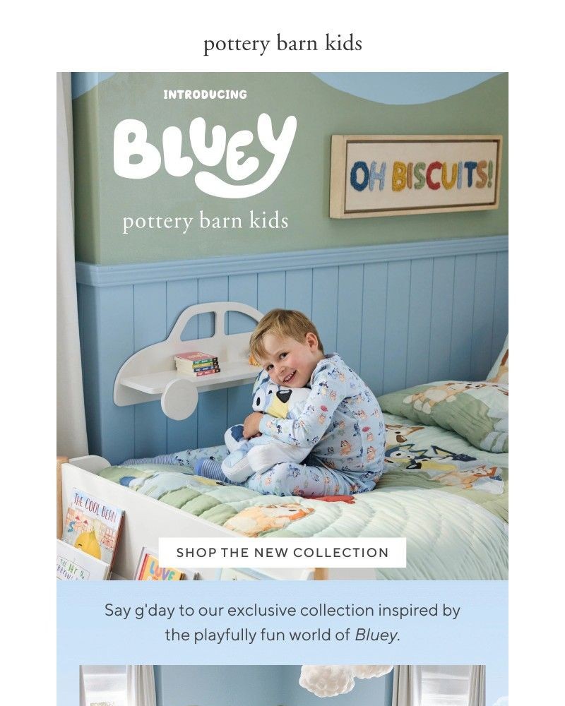 Screenshot of email with subject /media/emails/vip-early-access-our-new-bluey-collection-4905ce-cropped-4bc443e0.jpg