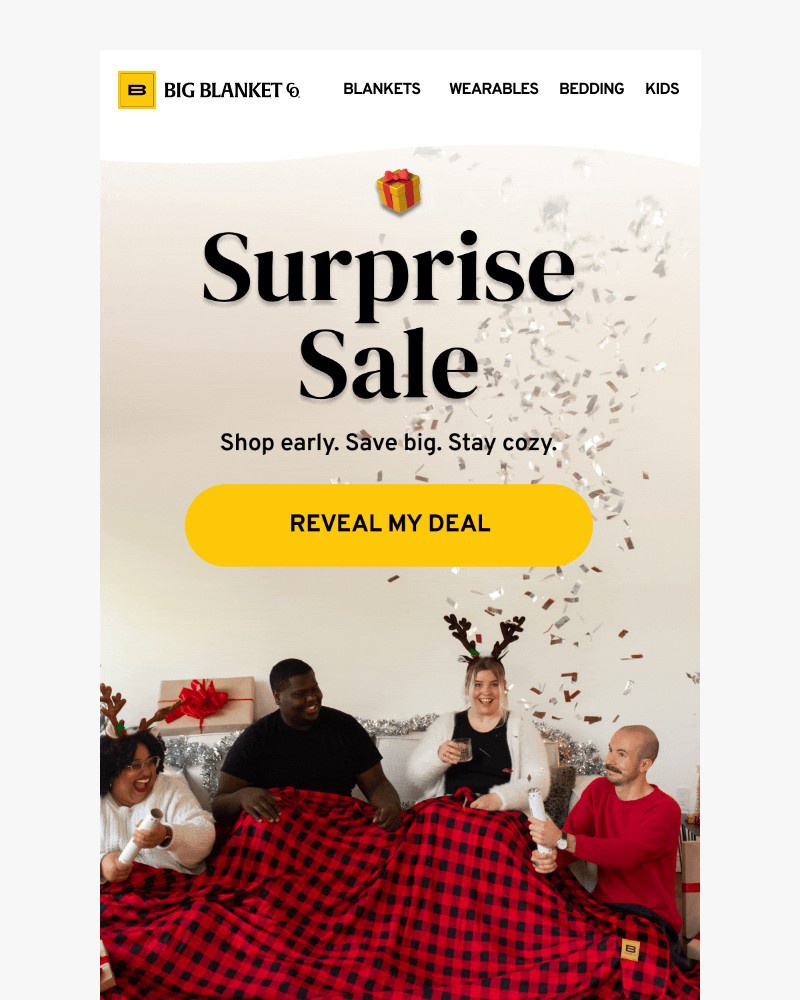 Screenshot of email with subject /media/emails/vip-surprise-sale-529327-cropped-d8ea241a.jpg