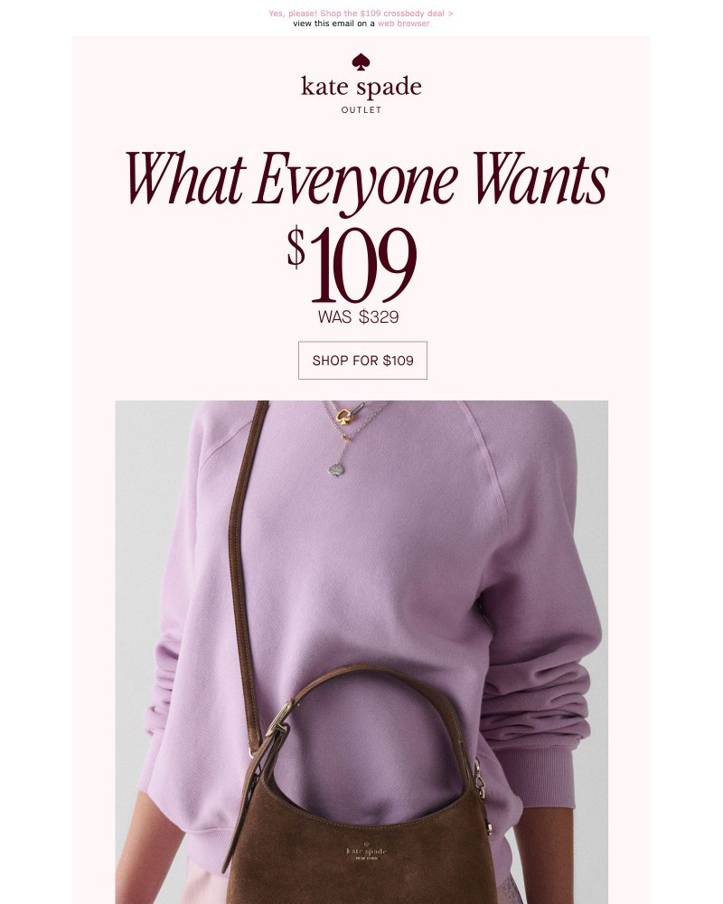 Screenshot of email with subject /media/emails/viral-454-bags-for-less-5f73a7-cropped-18489b6a.jpg