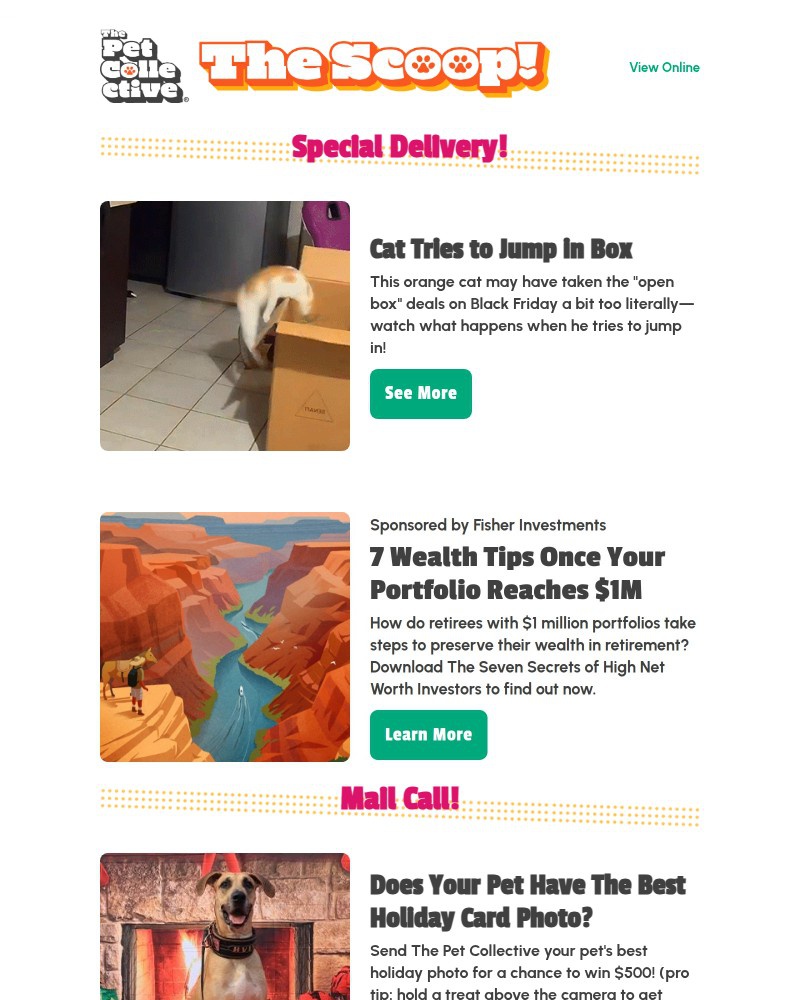 Screenshot of email with subject /media/emails/viral-video-cat-tries-to-jump-into-box-but-keeps-missing-a1aa6a-cropped-0ada73fa.jpg