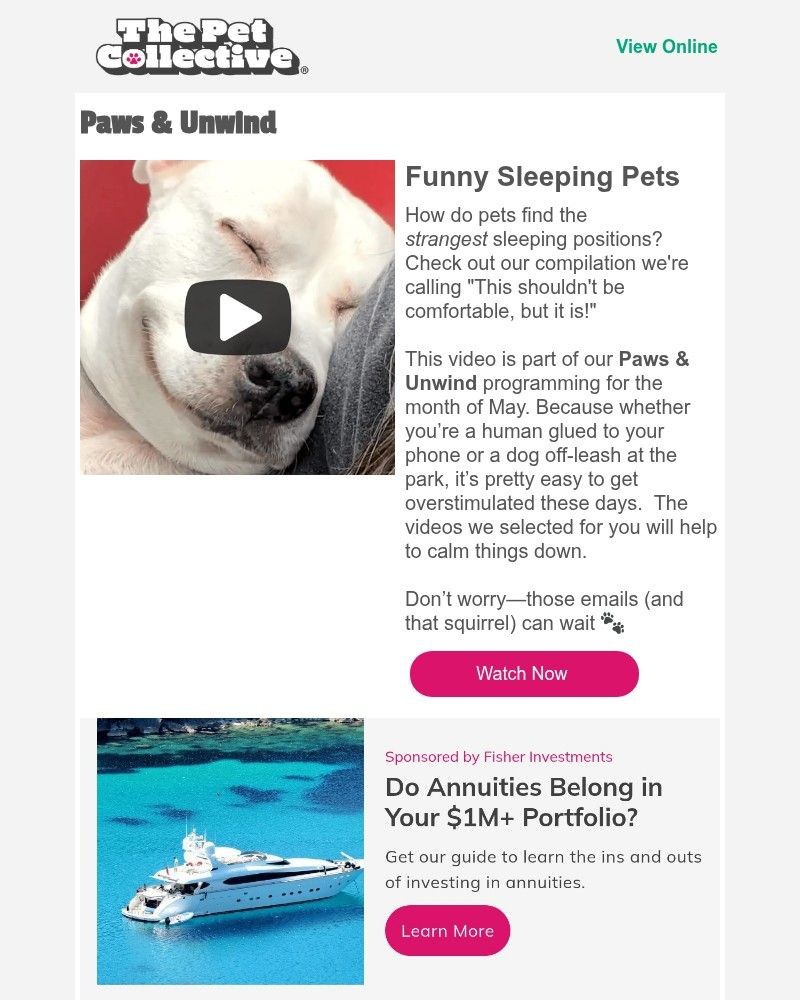 Screenshot of email with subject /media/emails/viral-video-dog-is-denied-his-couch-spot-46c9e6-cropped-2812cd01.jpg
