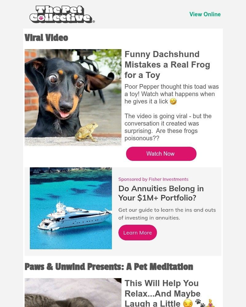 Screenshot of email with subject /media/emails/viral-video-dogs-reaction-to-almost-eating-a-frog-e9ba4b-cropped-249e17a3.jpg