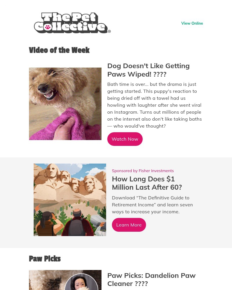 Screenshot of email with subject /media/emails/viral-video-puppys-reaction-to-getting-paws-cleaned-cb19f7-cropped-a1fe4d30.jpg