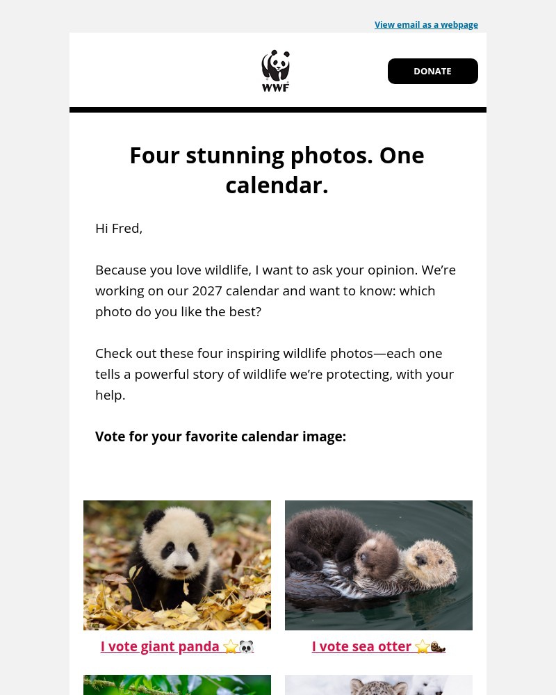 Screenshot of email sent to a World Wildlife Fund Newsletter subscriber