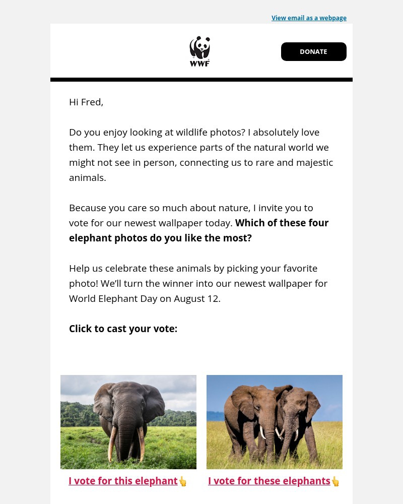 Screenshot of email with subject /media/emails/vote-now-4-stunning-elephant-photos-9688bd-cropped-c1248a0f.jpg