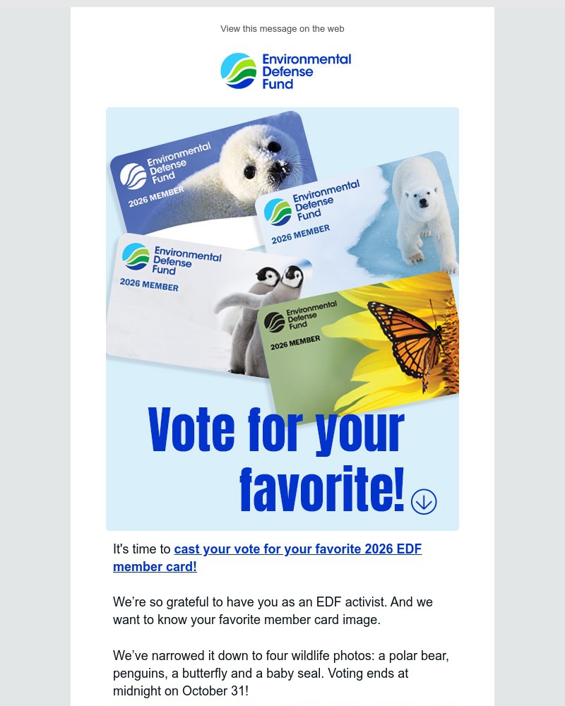 Screenshot of email with subject /media/emails/vote-polar-bear-penguins-butterfly-or-baby-seal-0aacc7-cropped-01db1d6f.jpg