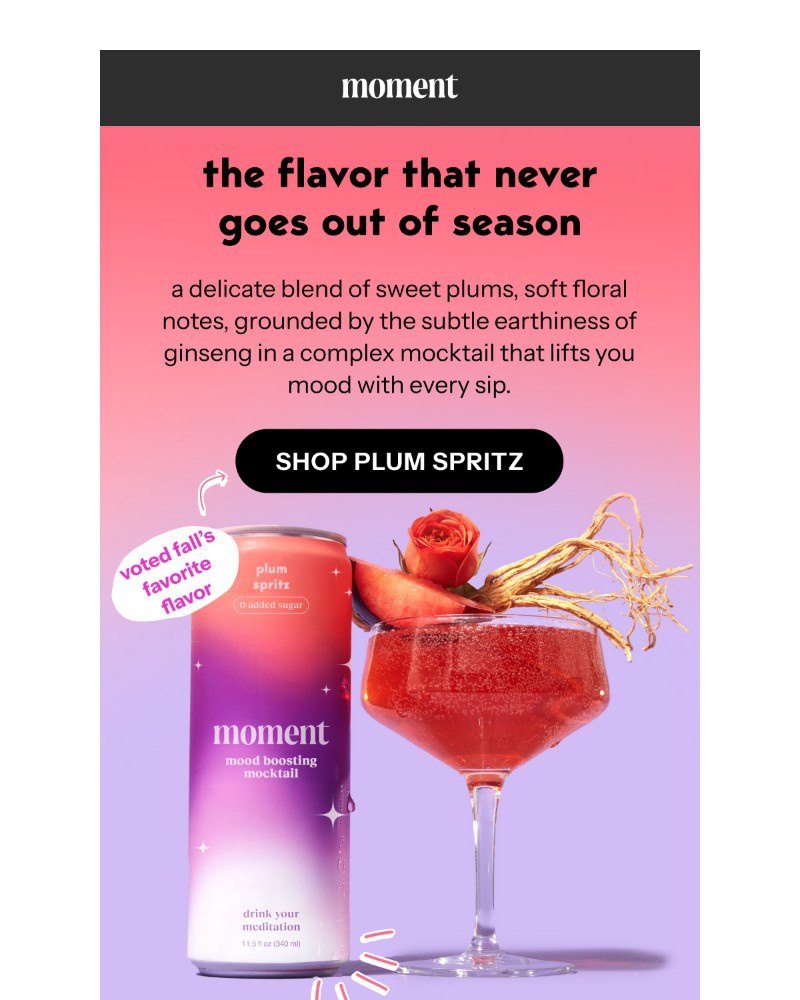 Screenshot of email sent to a Moment Newsletter subscriber