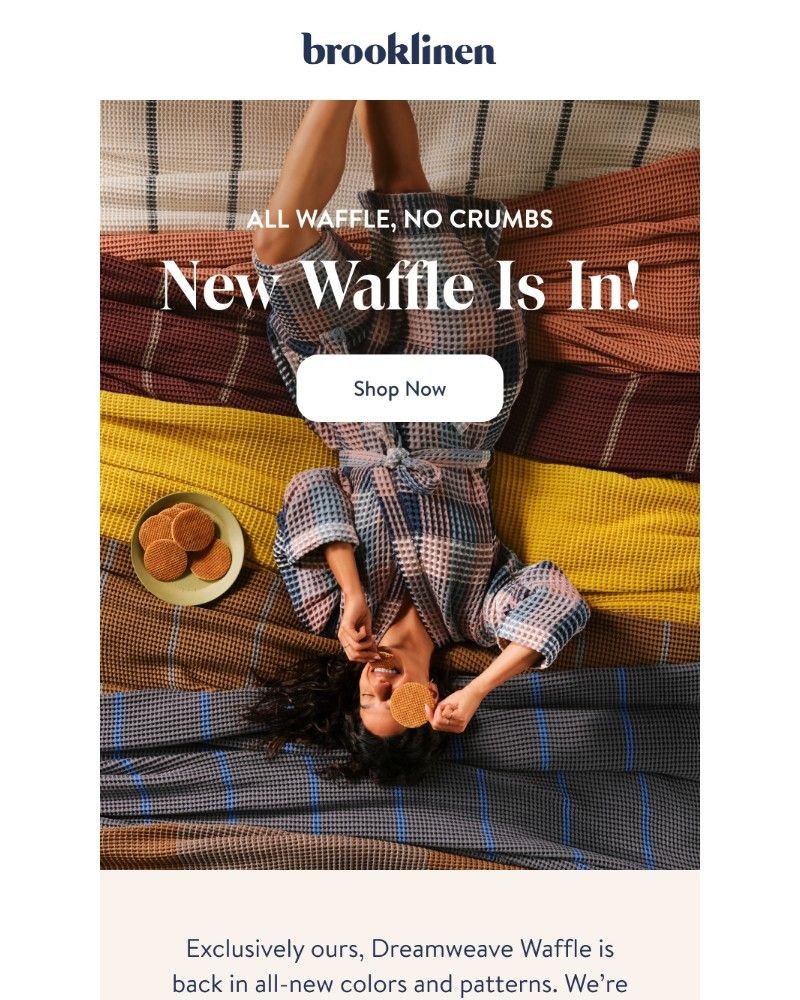 Screenshot of email with subject /media/emails/waffles-anyone-a8d996-cropped-ff0bf29d.jpg