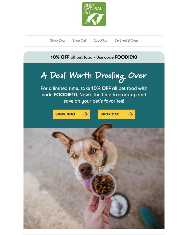 Screenshot of email sent to a Only Natural Pet Newsletter subscriber
