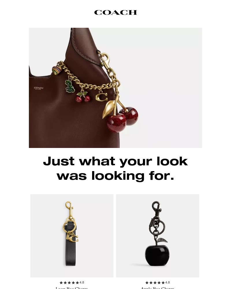 Screenshot of email with subject /media/emails/wallets-and-wristlets-to-take-everywhere-cd19bc-cropped-490cf629.jpg