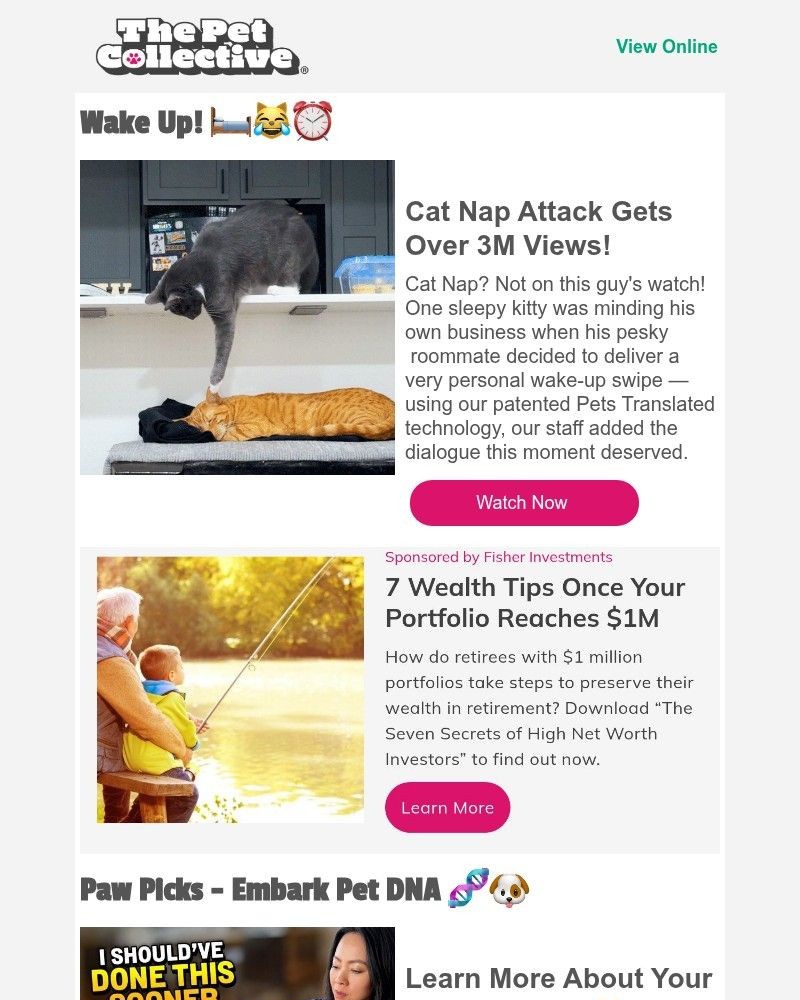 Screenshot of email with subject /media/emails/wanna-come-to-the-pool-with-us-6c626f-cropped-c2d743c1.jpg